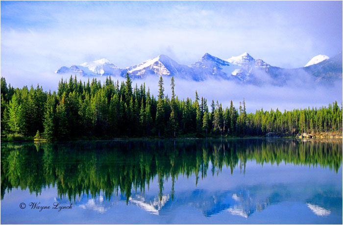 Banff National Park 104 by Wayne Lynch ©