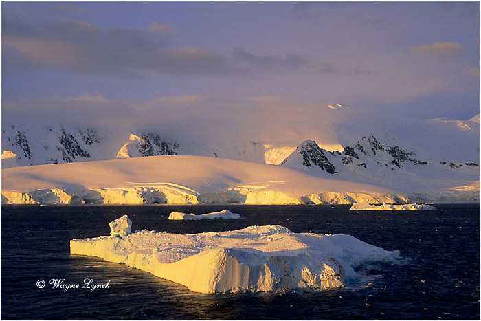 eumayer Channel 101  by Dr. Wayne Lynch &copy;