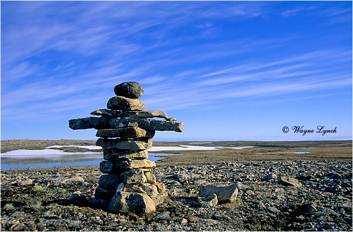 Inukshuk 101  by Wayne Lynch &copy;