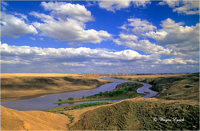 Prairie Alberta 102 by Wayne Lynch &copy;