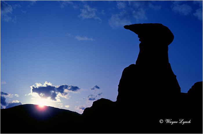 Alberta Badlands 103 by Dr. Wayne Lynch &copy;